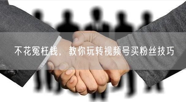 不花冤枉钱，教你玩转视频号买粉丝技巧