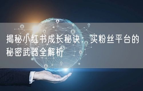 揭秘小红书成长秘诀：买粉丝平台的秘密武器全解析