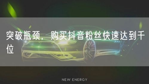 突破瓶颈，购买抖音粉丝快速达到千位