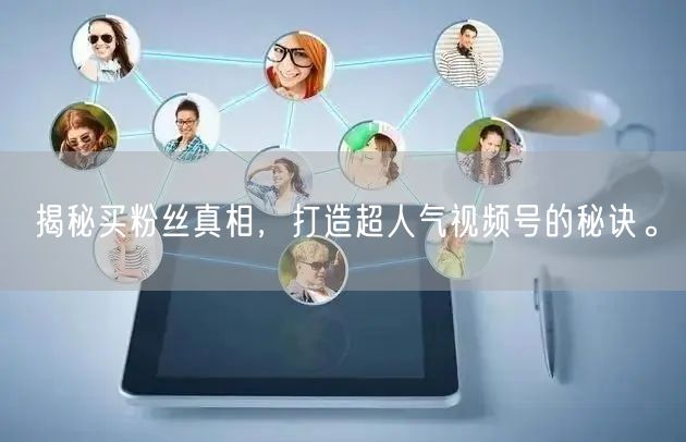 揭秘买粉丝真相，打造超人气视频号的秘诀。