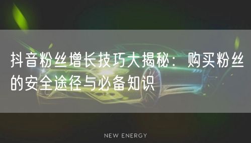 抖音粉丝增长技巧大揭秘：购买粉丝的安全途径与必备知识