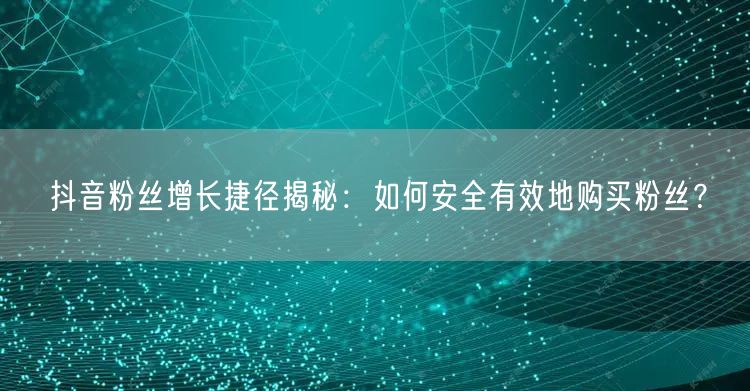 抖音粉丝增长捷径揭秘：如何安全有效地购买粉丝？