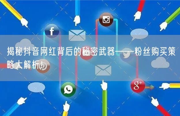 揭秘抖音网红背后的秘密武器——粉丝购买策略大解析！