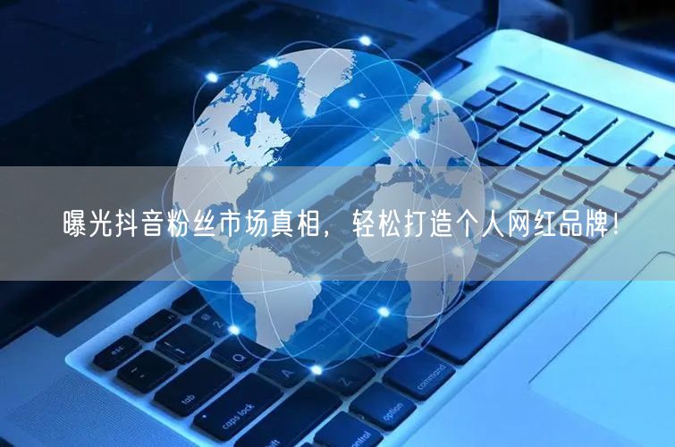 曝光抖音粉丝市场真相，轻松打造个人网红品牌！