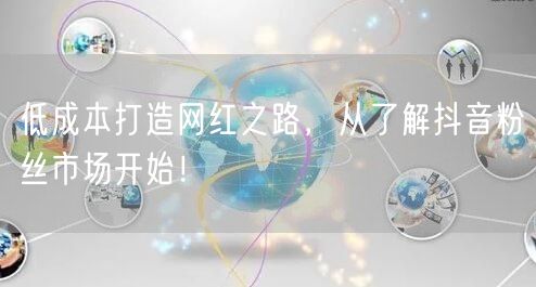 低成本打造网红之路，从了解抖音粉丝市场开始！