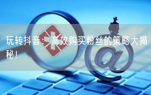 玩转抖音：高效购买粉丝的策略大揭秘！
