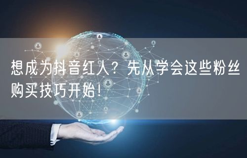 想成为抖音红人？先从学会这些粉丝购买技巧开始！