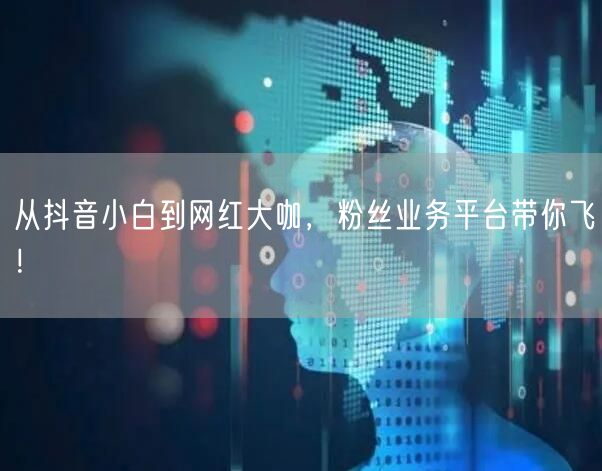 从抖音小白到网红大咖，粉丝业务平台带你飞！