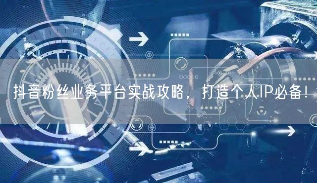 抖音粉丝业务平台实战攻略，打造个人IP必备！
