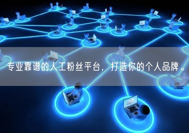 专业靠谱的人工粉丝平台，打造你的个人品牌。