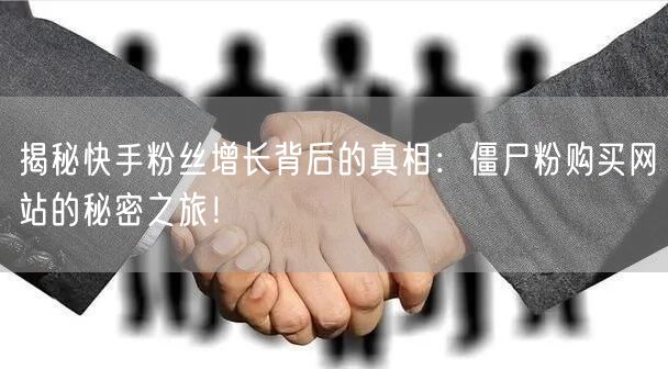 揭秘快手粉丝增长背后的真相：僵尸粉购买网站的秘密之旅！