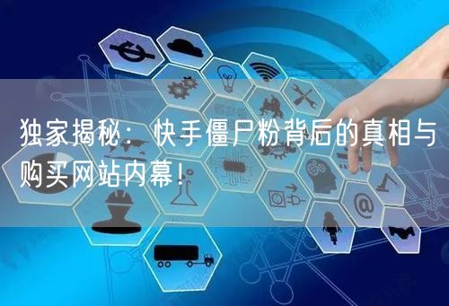 独家揭秘：快手僵尸粉背后的真相与购买网站内幕！
