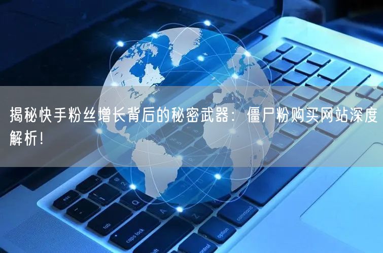 揭秘快手粉丝增长背后的秘密武器：僵尸粉购买网站深度解析！