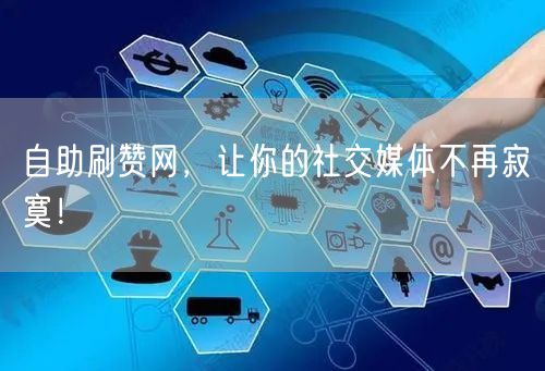 自助刷赞网，让你的社交媒体不再寂寞！