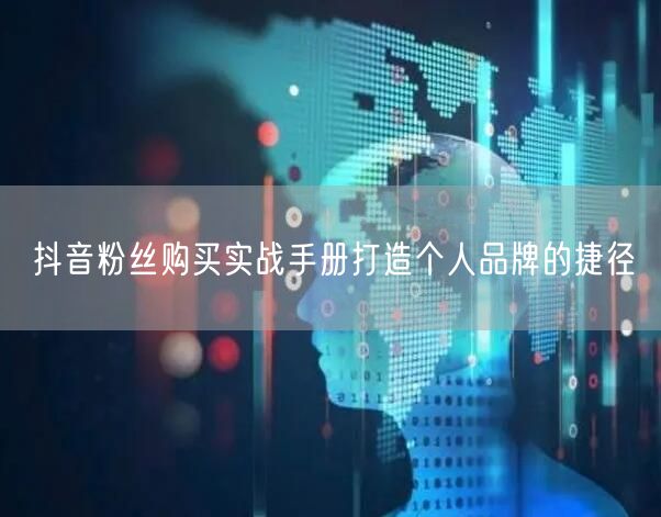 抖音粉丝购买实战手册打造个人品牌的捷径
