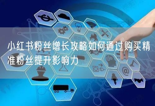 小红书粉丝增长攻略如何通过购买精准粉丝提升影响力