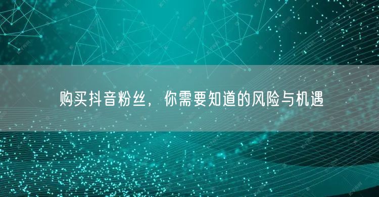 购买抖音粉丝，你需要知道的风险与机遇