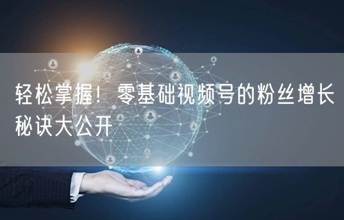 轻松掌握！零基础视频号的粉丝增长秘诀大公开