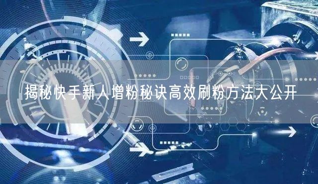 揭秘快手新人增粉秘诀高效刷粉方法大公开