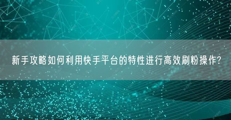 新手攻略如何利用快手平台的特性进行高效刷粉操作?