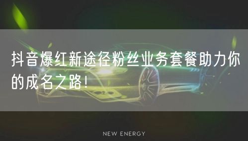 抖音爆红新途径粉丝业务套餐助力你的成名之路！
