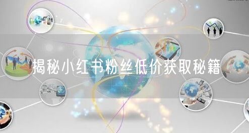 揭秘小红书粉丝低价获取秘籍
