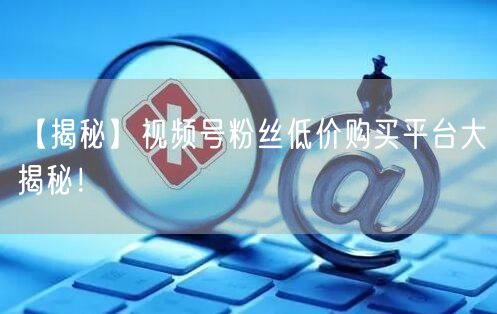【揭秘】视频号粉丝低价购买平台大揭秘！