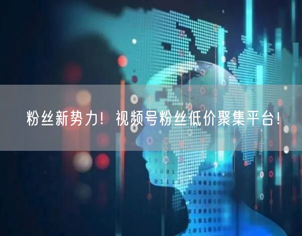 粉丝新势力！视频号粉丝低价聚集平台！