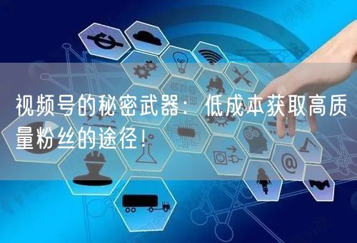 视频号的秘密武器：低成本获取高质量粉丝的途径！