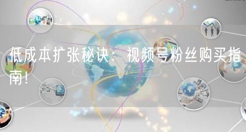 低成本扩张秘诀：视频号粉丝购买指南！