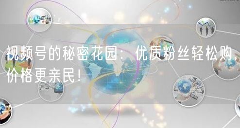 视频号的秘密花园：优质粉丝轻松购，价格更亲民！