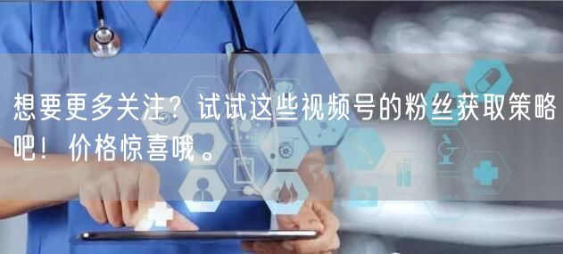 想要更多关注？试试这些视频号的粉丝获取策略吧！价格惊喜哦。
