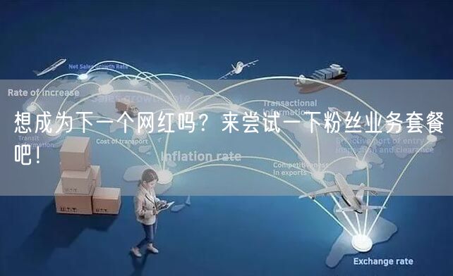 想成为下一个网红吗？来尝试一下粉丝业务套餐吧！