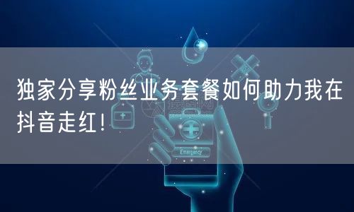独家分享粉丝业务套餐如何助力我在抖音走红！