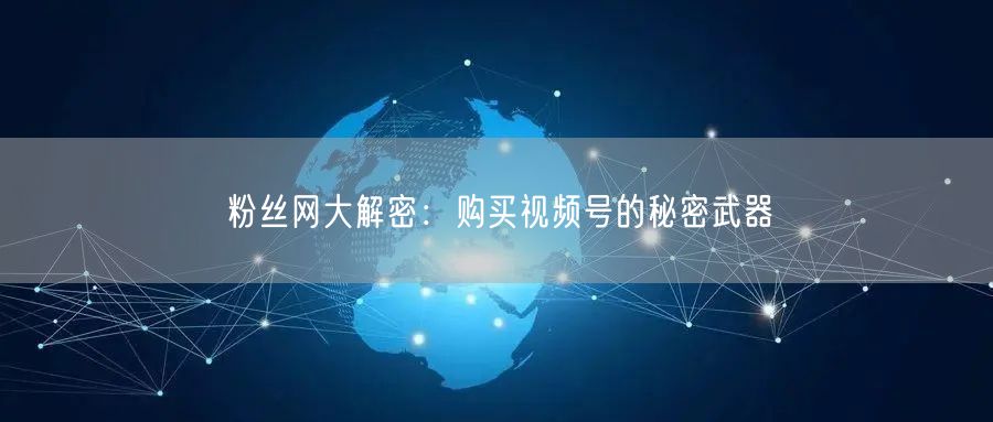 粉丝网大解密:购买视频号的秘密武器