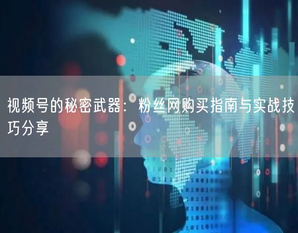 视频号的秘密武器:粉丝网购买指南与实战技巧分享