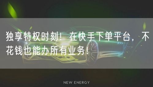 独享特权时刻！在快手下单平台，不花钱也能办所有业务！
