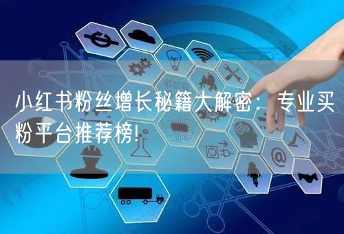 小红书粉丝增长秘籍大解密：专业买粉平台推荐榜!