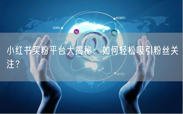 小红书买粉平台大揭秘:如何轻松吸引粉丝关注?