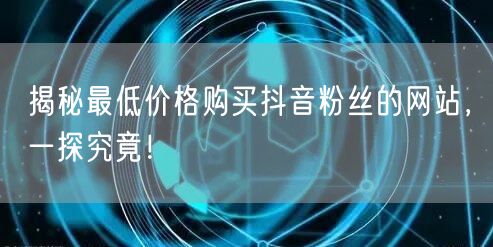 揭秘最低价格购买抖音粉丝的网站,一探究竟!