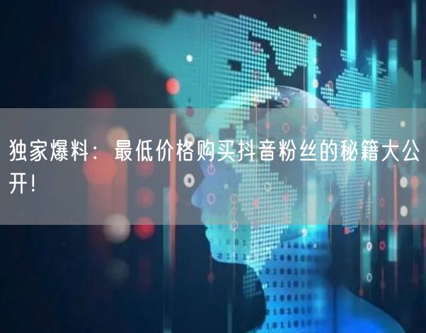 独家爆料:最低价格购买抖音粉丝的秘籍大公开!